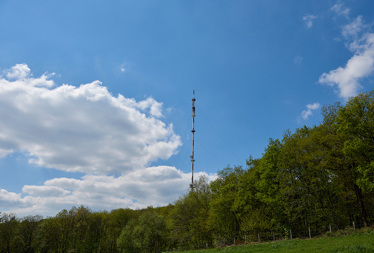 mont-rochard-sainte-gemmes-le-robert