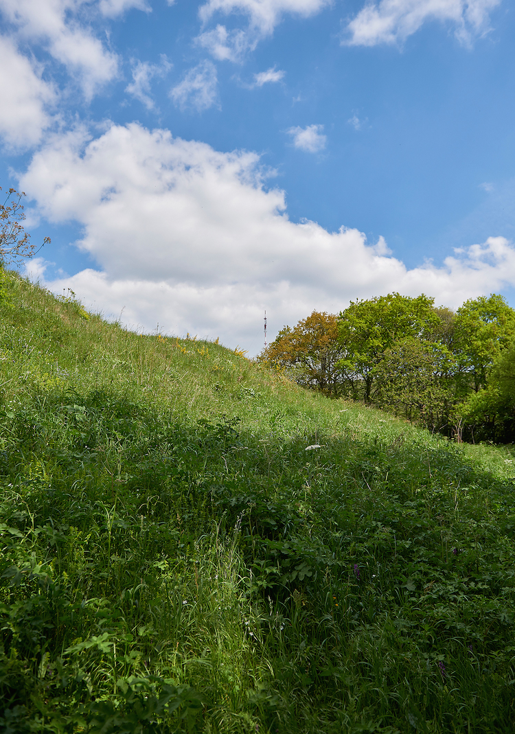 mont-rochard-sainte-gemmes-le-robert